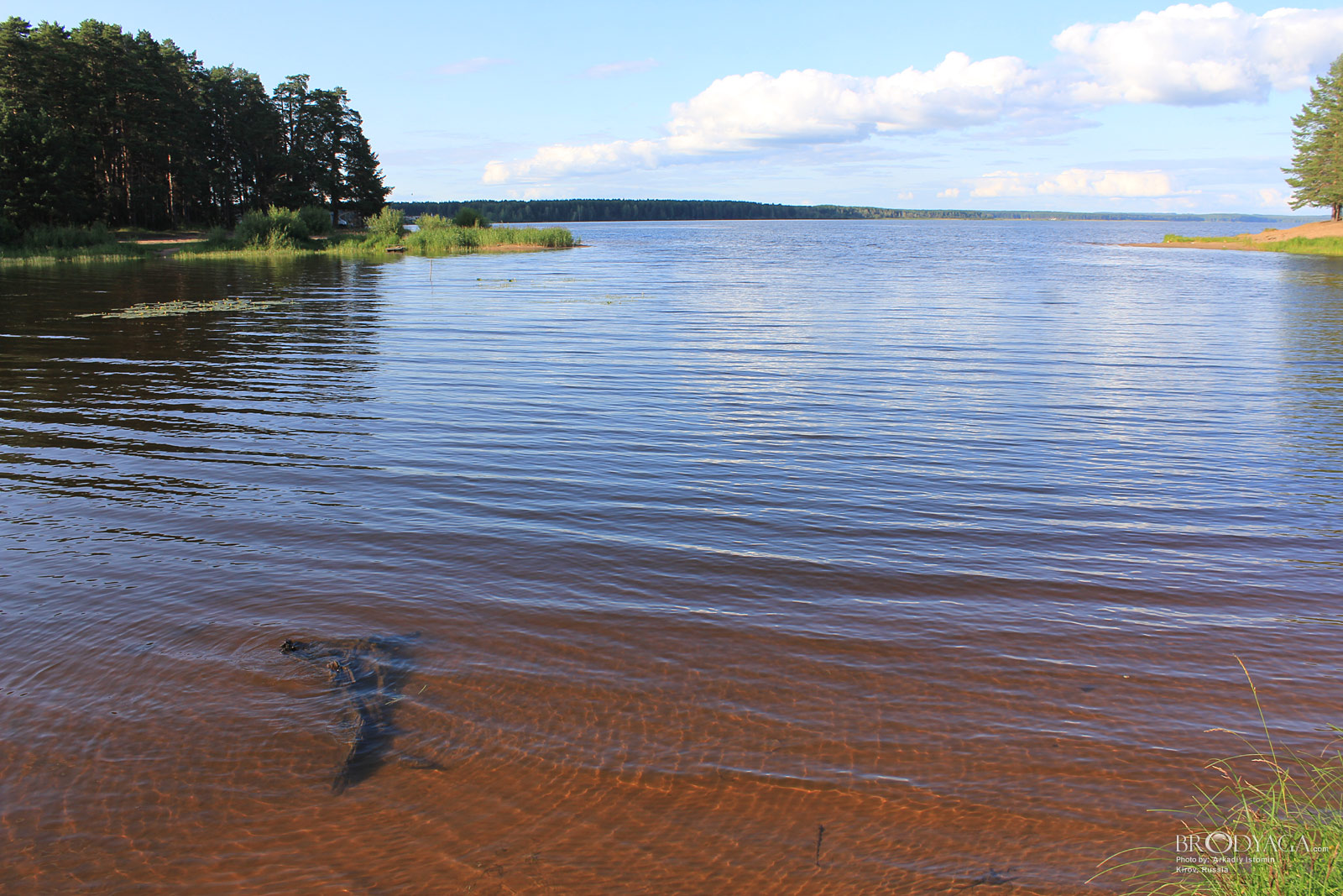 Belaya Kholunitsa